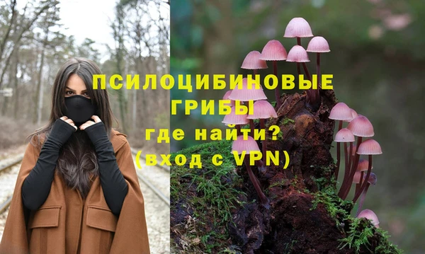 ALPHA PVP Надым