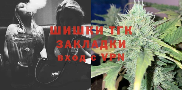 mdpv Богородицк