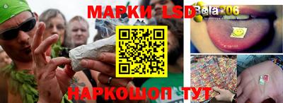 мяу мяу мука Беслан