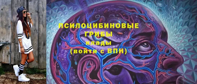 купить наркотик  Энгельс  Галлюциногенные грибы Psilocybine cubensis 