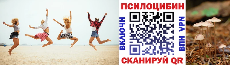 наркошоп  Энгельс  дарк нет состав  Псилоцибиновые грибы Magic Shrooms 