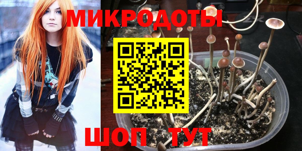 Псилоцибиновые грибы Psilocybe Энгельс